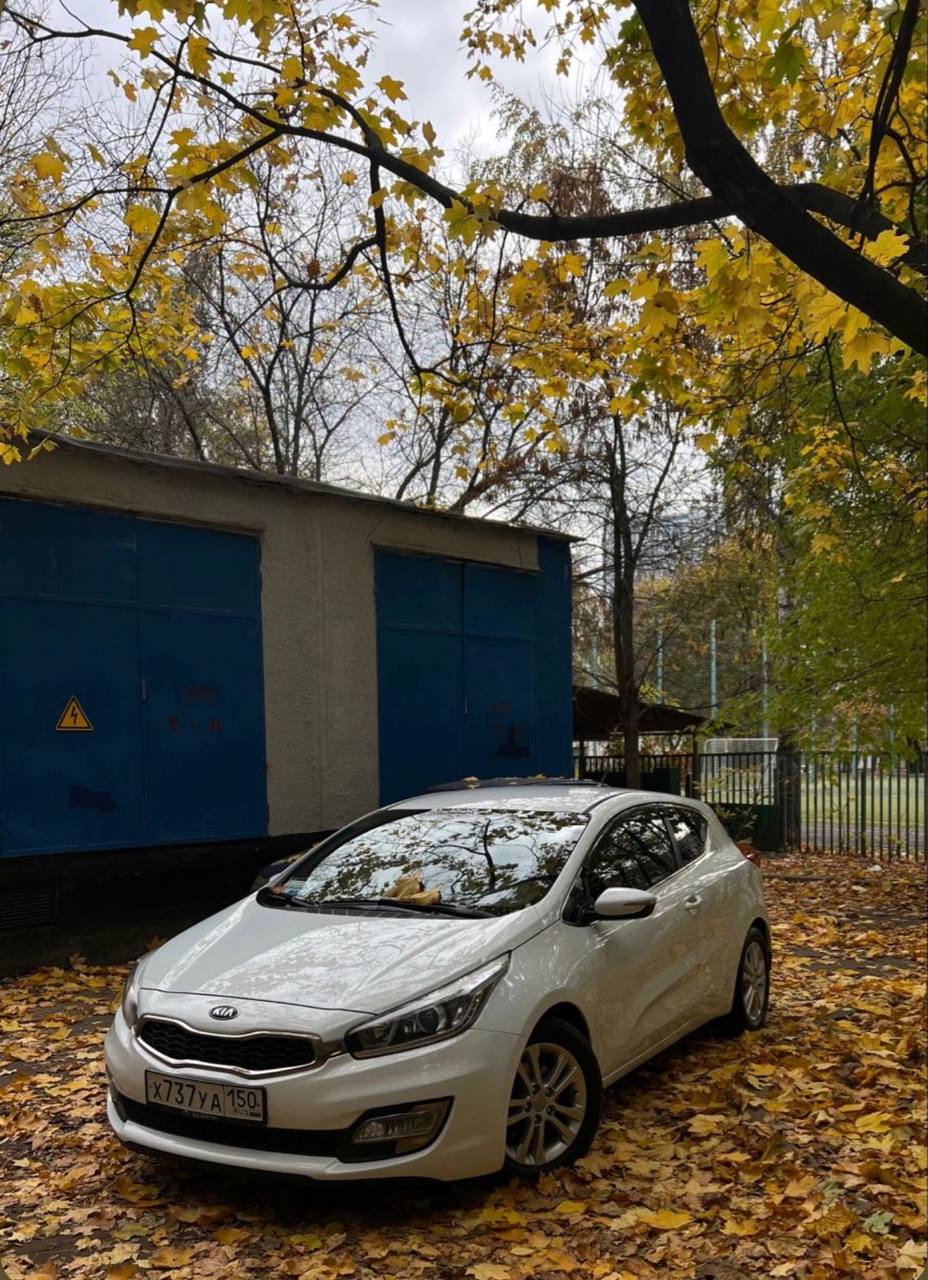 Kia Ceed